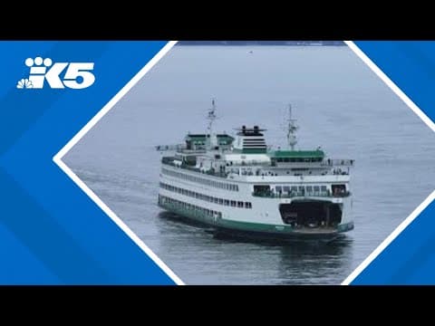 Hybrid-electric ferry returns to service