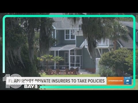 Florida approves private insurers to take more than 150K policies from Citizens