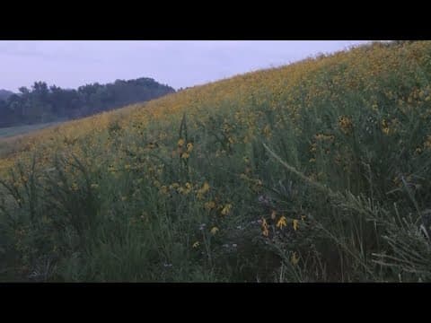 Crews maintain 22-miles of trails in Aspire park