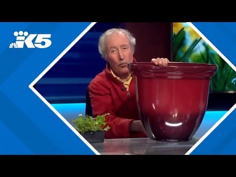 What kind of veggies thrive in cooler temps?