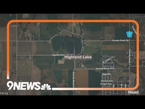 Bat in Weld County tests positive for rabies