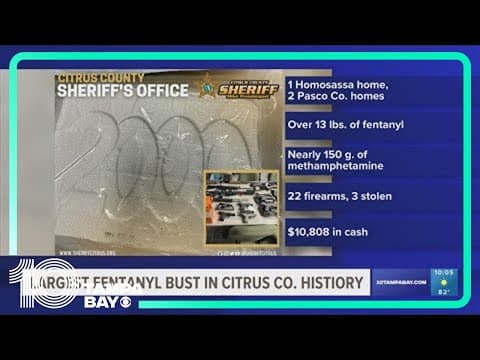 Citrus County deputies seize $735k worth of narcotics