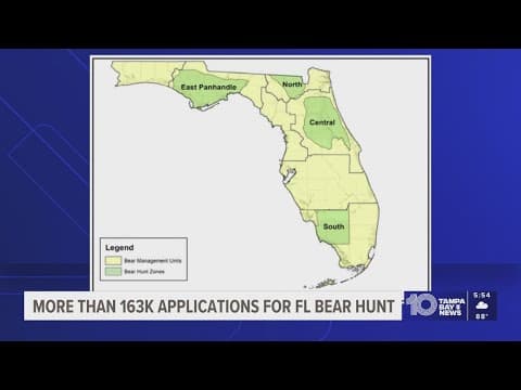 More than 160,000 applied for Florida's bear hunting permit. Less than 1% will get one