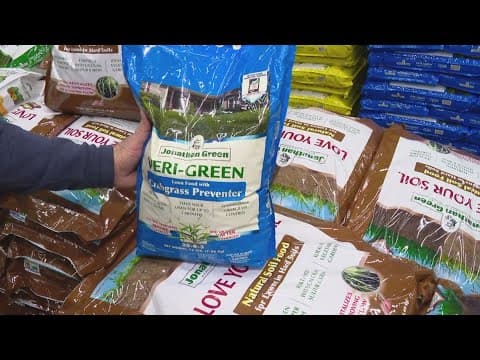 Pat Sullivan's tips to prepare your lawn for spring