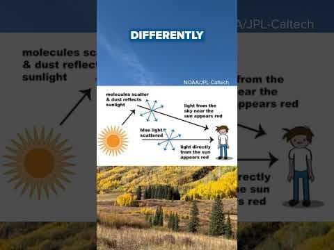 Why are fall skies so blue? Here's your answer