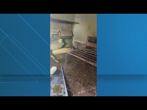 19 dogs rescued from ‘house of horrors’ in Katy area, constable says