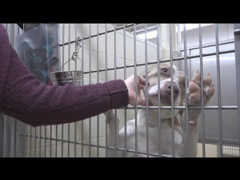 MPLS hopes to 'clear the shelter' for the holidays