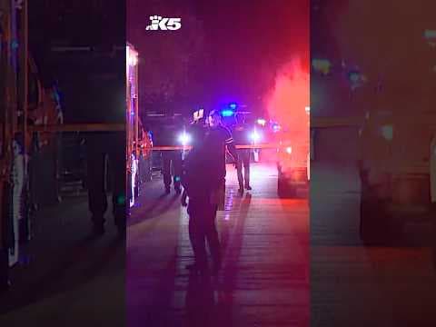 Juvenile suspect in custody after mass shooting at Pierce County party kills 2 people