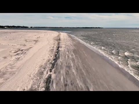 Chuck's Big Adventure in Charleston: Coastal Expeditions