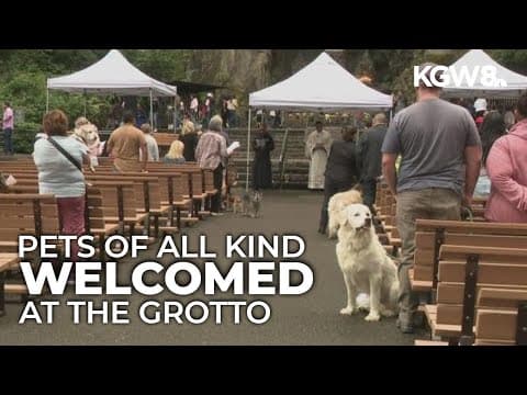 The Grotto hosts 41st annual Blessing of the Animals