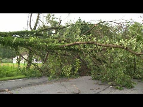Clean up is underway following severe storms across the area