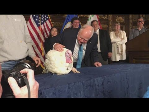 MN ranks No. 1 in turkey production