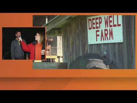Deep Well Farms offers family friendly fun this autumn