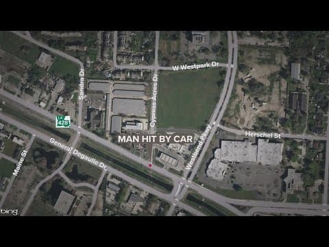 New details in crash that killed man in Algiers, New Orleans