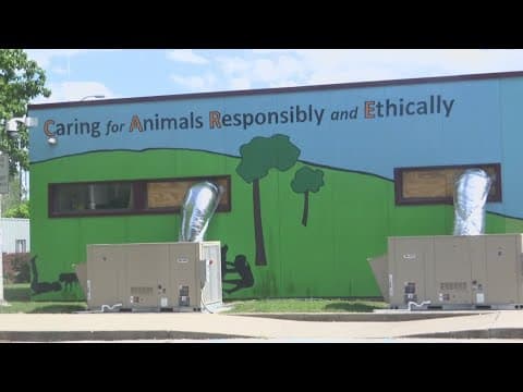 Indianapolis Animal Care Services to break ground on new shelter Monday