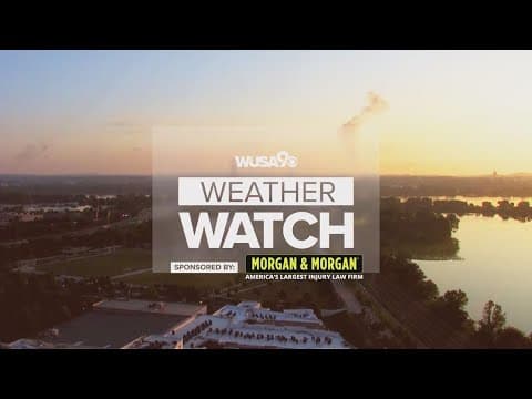 DMV morning forecast: Feb. 25, 2024┃Sunny and seasonably cool Sunday
