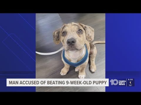 Police: Bradenton man seen beating 9-week-old puppy on camera