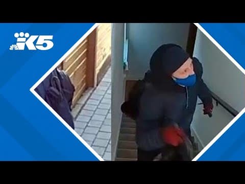 Lake Stevens man charged with 35 felonies for crime spree