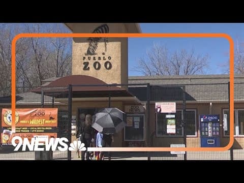 Pueblo Zoo asks public for help with its big budget shortfall