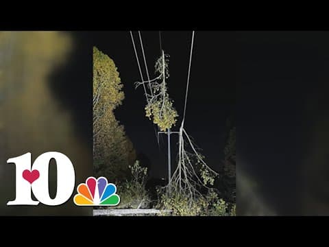 Dispatch: Downed tree on private property causes power outage to thousands in Alcoa