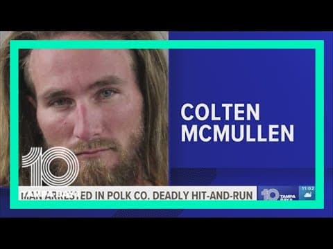 Auburndale mother recalls reported deadly hit-and-run