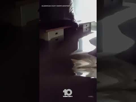 High-water rescue in Hillsborough County after Hurricane #Milton #10tampabay #tampabay