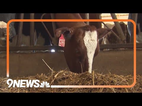 CDC calls for more tests on farms with bird flu