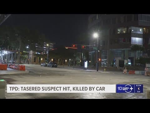Suspect hit, killed by car after running away from Tampa police