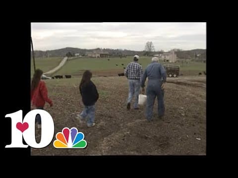 Classic Schwall: Buster the Donkey doesn't want to go