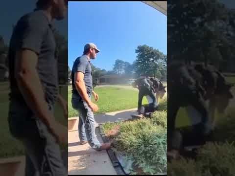 The incident was captured on home surveillance video and then shared on social media, TPSO said.