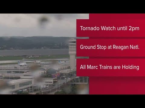 Remnants of Debby slam the DMV with wind, rain