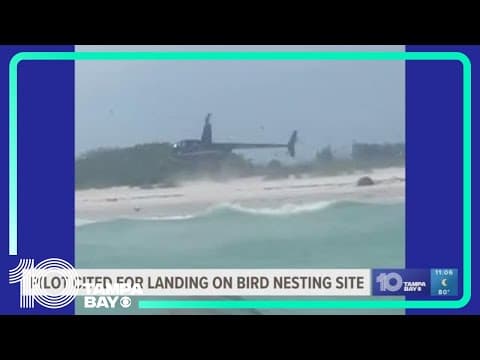 Pilot cited for landing on bird nesting site at Egmont Key State Park