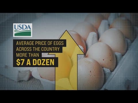 The heist of 100,000 eggs in Pennsylvania becomes a whodunit that police have yet to crack