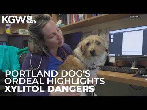 Sugar substitute nearly kills Portland dog