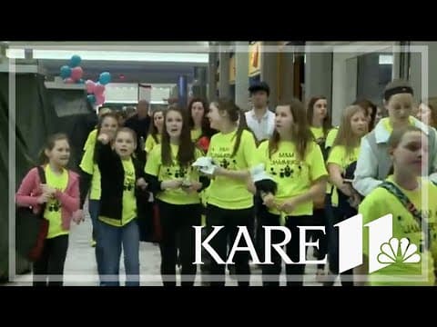 Walk to Cure Juvenile Arthritis at Mall of America on April 26