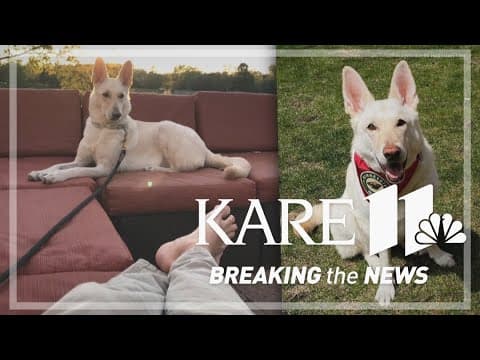 Hartman family moves forward without beloved dog