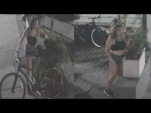 NOPD releases images of suspect accused of stealing plants outside St. Roch Market