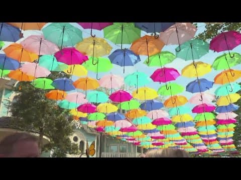 YouTube thumbnail for video AV1picsZdzo