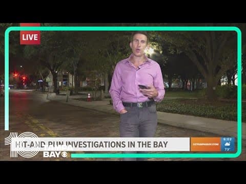 At least 4 hit-and-run incidents in Tampa Bay area remain unsolved
