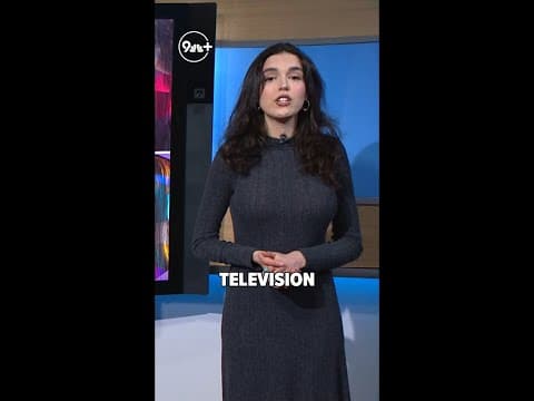 Money from Bob Ross painting auctions to help fund public TV