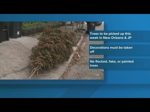 Curbside Christmas tree pickup in Orleans and Jefferson Parishes