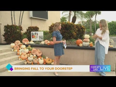 The Pumpkin Exchange