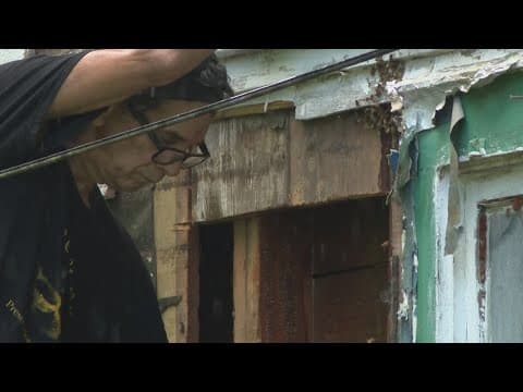 Galveston County homeowner's 35-year battle with bees nearing resolution