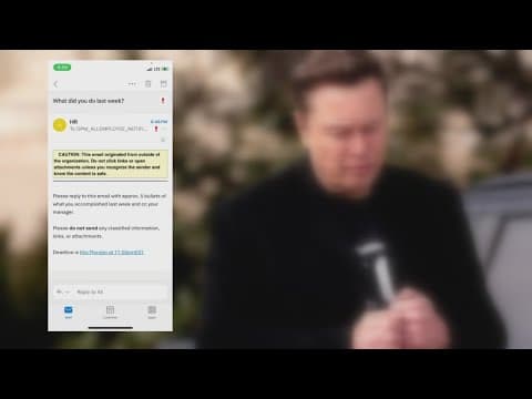 Elon Musk gives all federal workers 48 hours to explain what they did last week