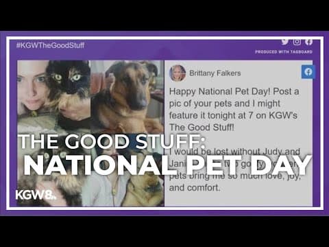 The Good Stuff: Celebrating National Pet Day