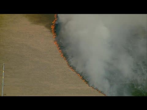 Cal Fire crews work to extinguish grass fire in Otay Mesa