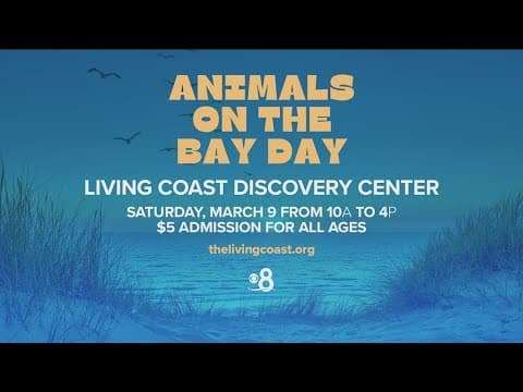 Head to Animals on the Bay Day to celebrate Southern California native wildlife