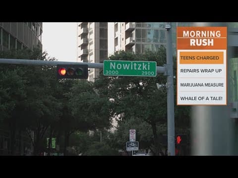 Two teens charged in Victory Park shooting