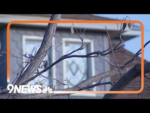 What homeowners can do to prepare for wildfires