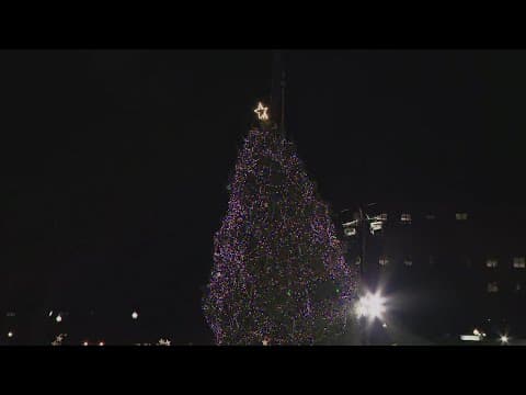 Crews work to upright National Christmas Tree after wind knocks it over